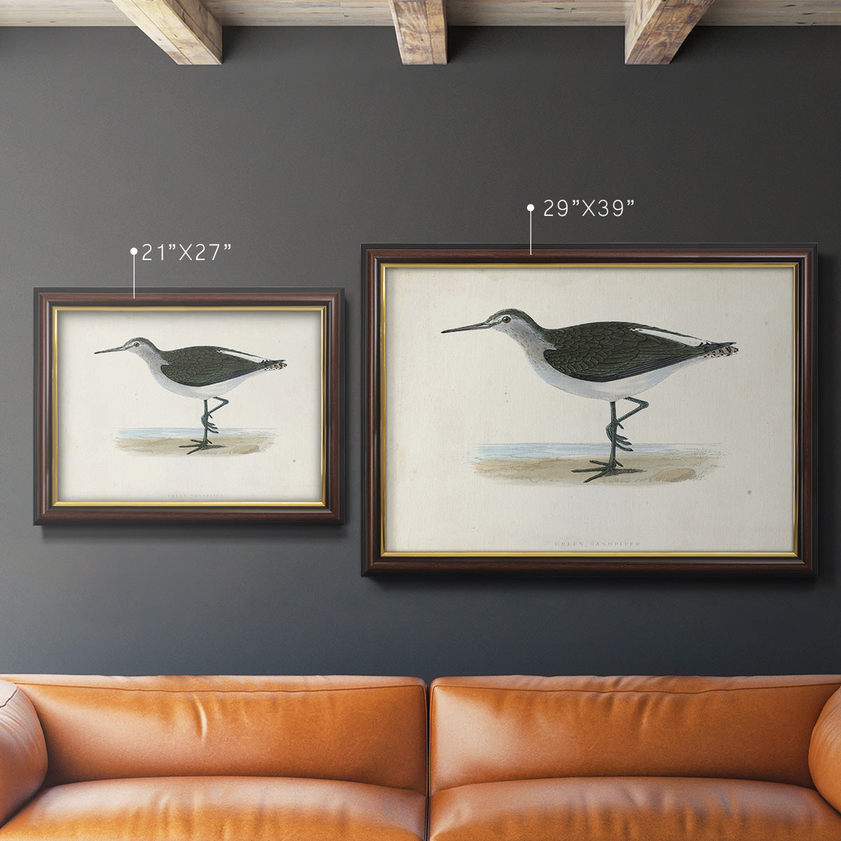 Morris Sandpipers VI Premium Framed Canvas- Ready to Hang