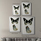 Antique Blue Butterflies I - Modern Framed Canvas Print