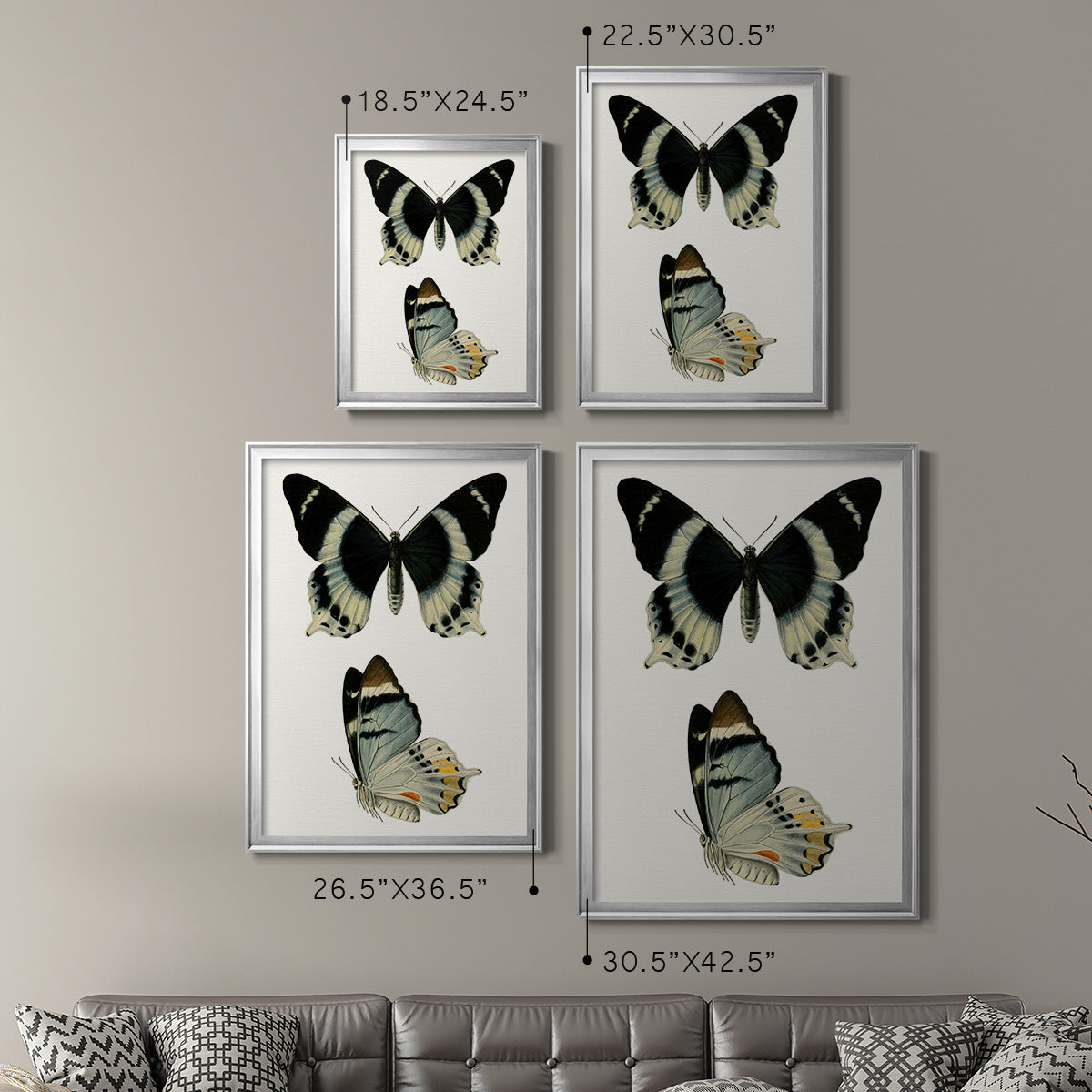 Antique Blue Butterflies I - Modern Framed Canvas Print