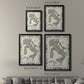 Bordered Map of Italy - Modern Framed Canvas Print