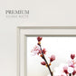 Cherry Blossom Study I - Double Matboard Framed Print
