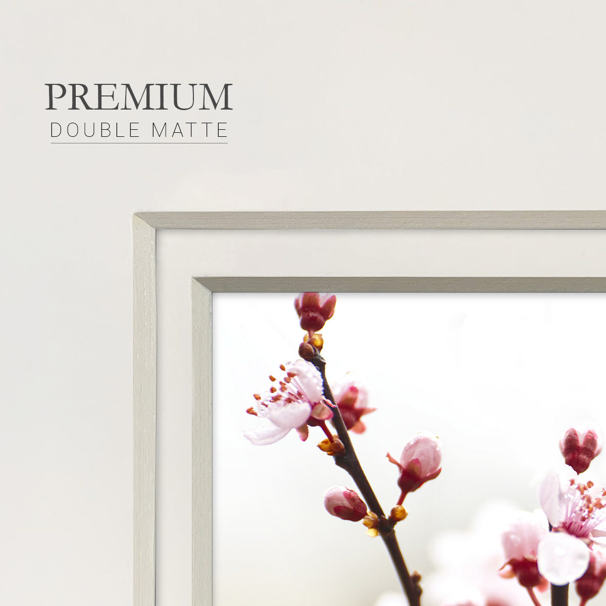 Cherry Blossom Study I - Double Matboard Framed Print