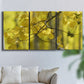 Three-panel canvas wall art featuring backlit aspen trees photograph, displayed in a living room above a sofa.
