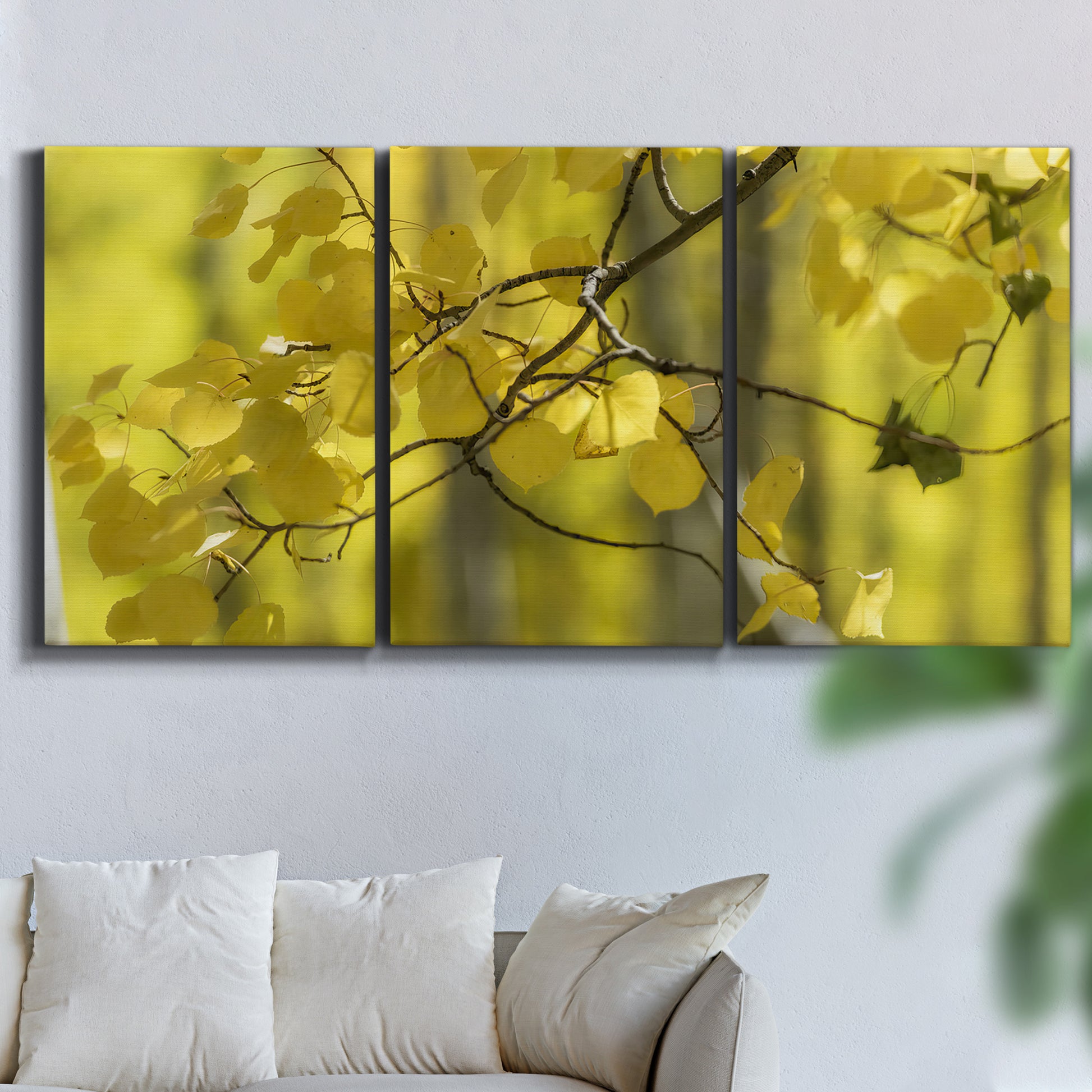 Three-panel canvas wall art featuring backlit aspen trees photograph, displayed in a living room above a sofa.