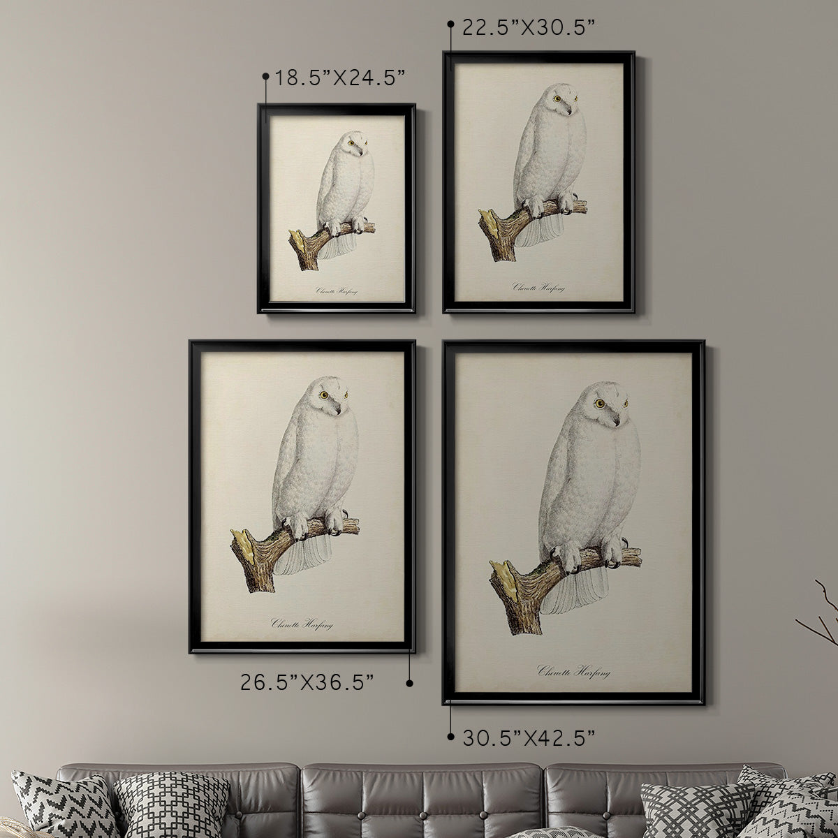 French Owls IV - Modern Framed Canvas Print