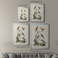 Antique Birds in Nature IV - Modern Framed Canvas Print
