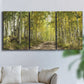 Three-panel canvas wall art featuring tree lined forest road photograph, displayed in a living room above a sofa.