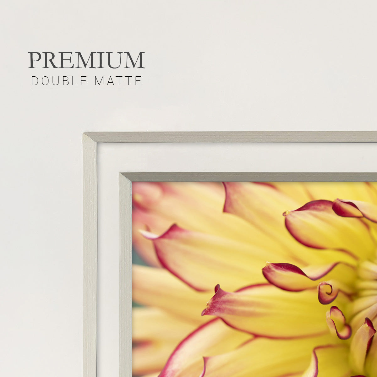 Blooms II- Premium Framed Print Double Matboard