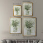 Delicate Greenery II - Modern Framed Canvas Print