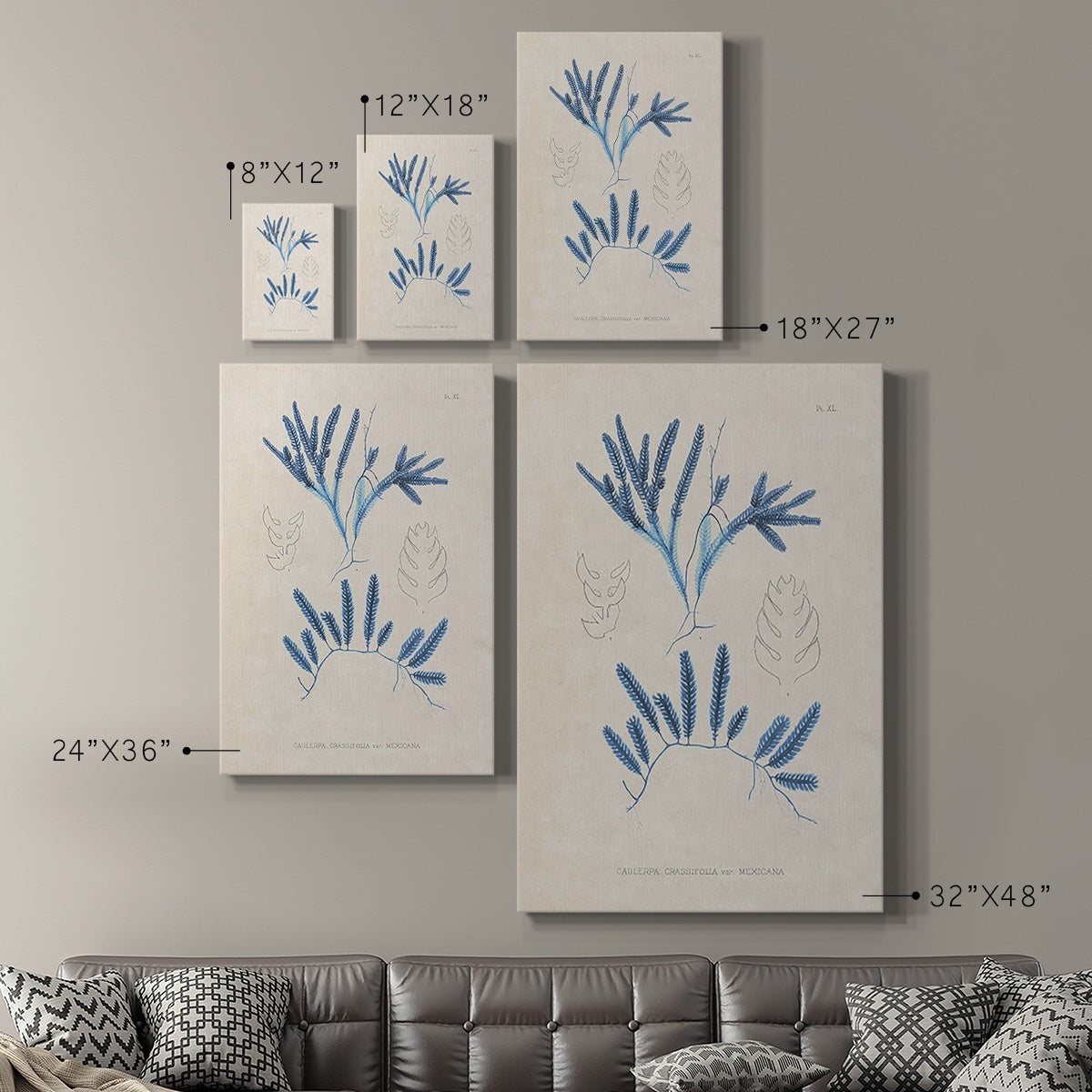 Blue Marine Algae I Premium Gallery Wrapped Canvas - Ready to Hang