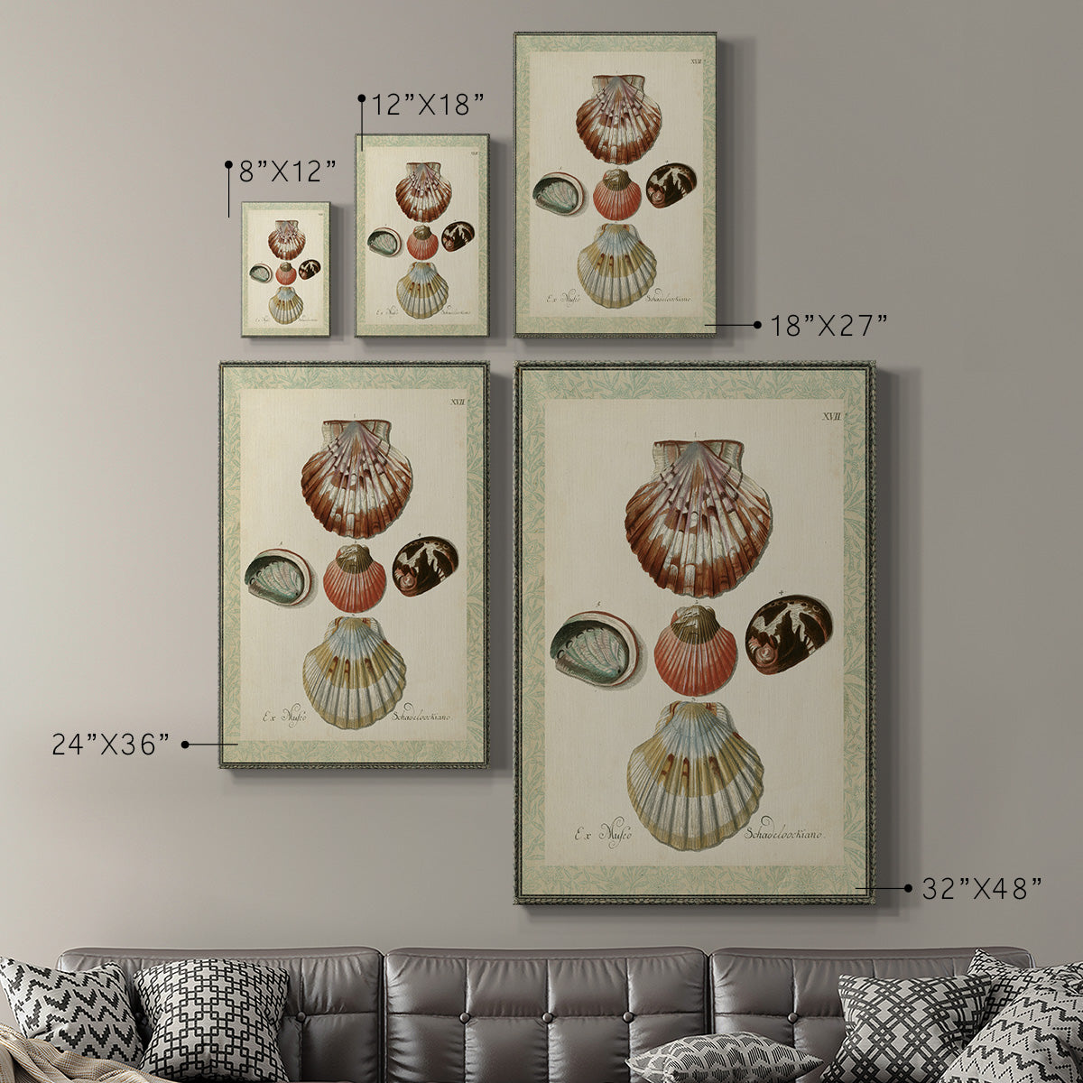 Bookplate Shells III Premium Gallery Wrapped Canvas - Ready to Hang