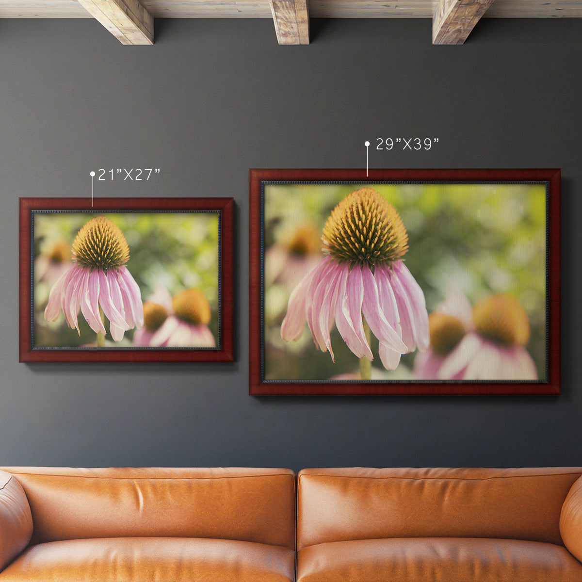 Echinacea Study II Premium Framed Canvas- Ready to Hang