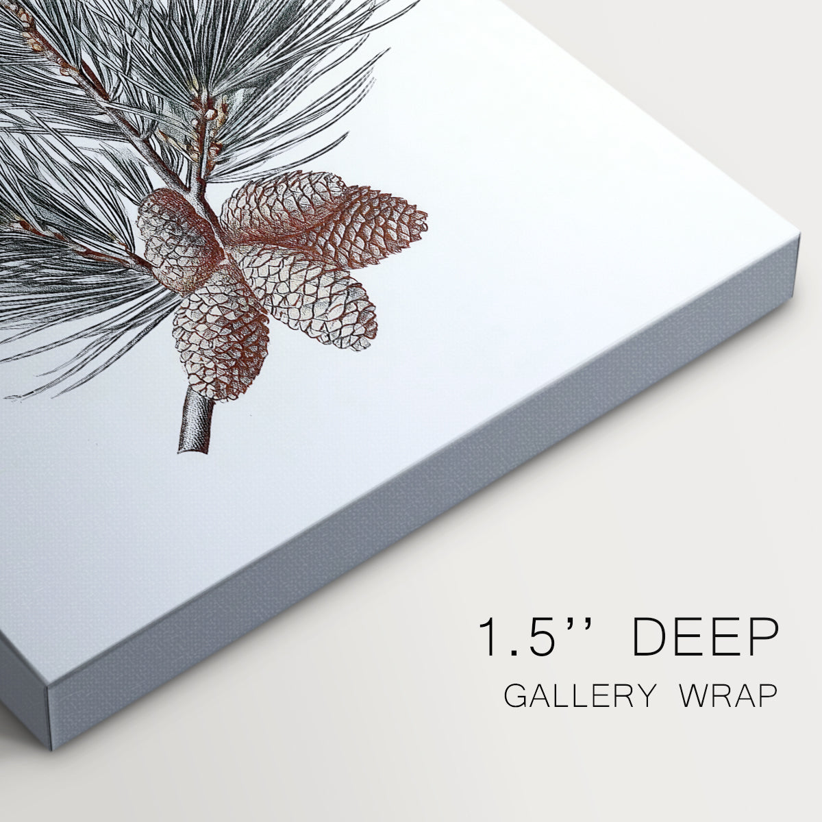 Silver Whisper of Snow - Canvas Art Print