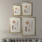 Knorr Shells & Coral VII - Modern Framed Canvas Print
