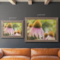 Echinacea Study II Premium Framed Canvas- Ready to Hang