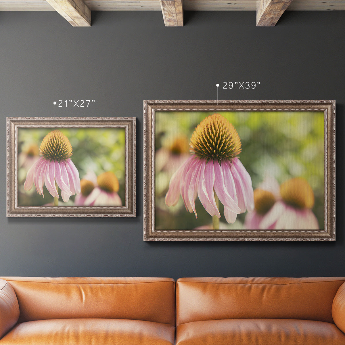 Echinacea Study II Premium Framed Canvas- Ready to Hang