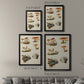 Mushroom Species X - Modern Framed Canvas Print