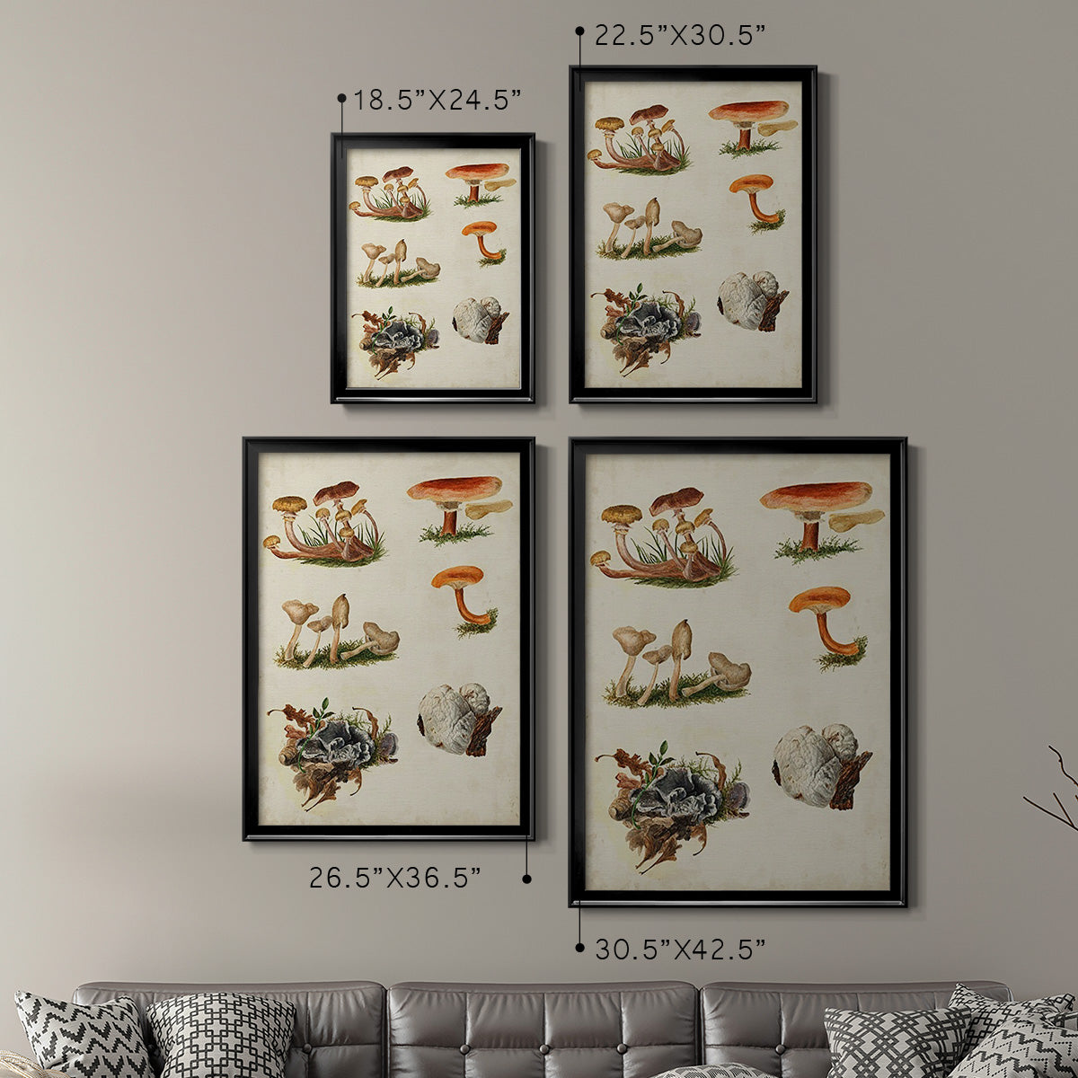 Mushroom Species X - Modern Framed Canvas Print