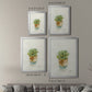 Succulent II - Modern Framed Canvas Print