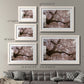 Spring's Arrival - Barnwood Framed Art Print