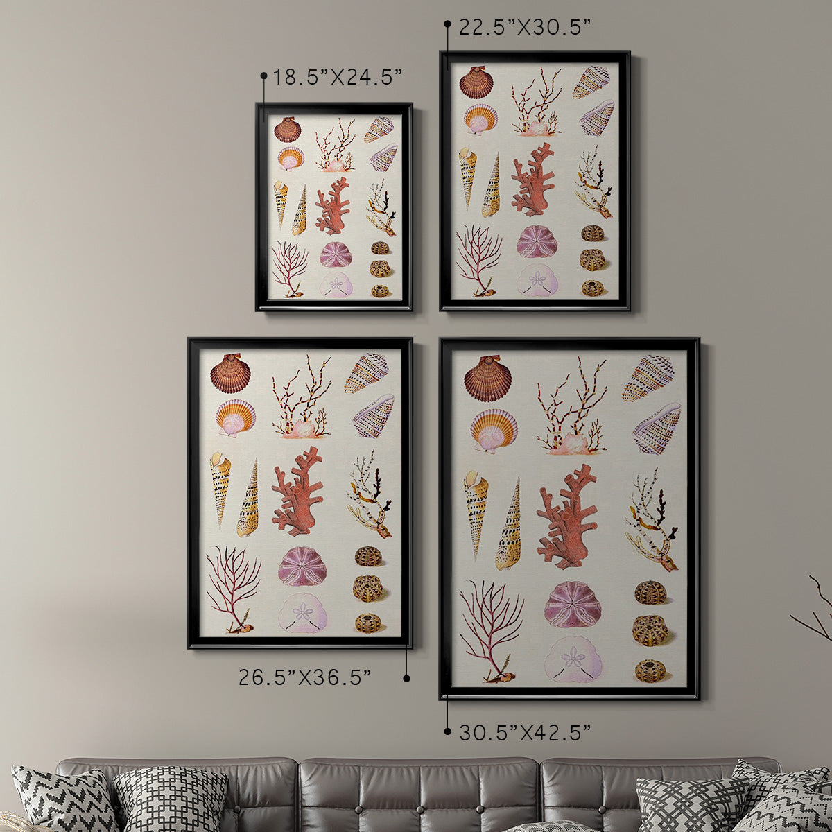 Coral & Shell Collage II -  Framed Canvas Print