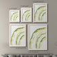 Lichen Halo I - Premium Framed Canvas 2 Piece Set - Ready to Hang