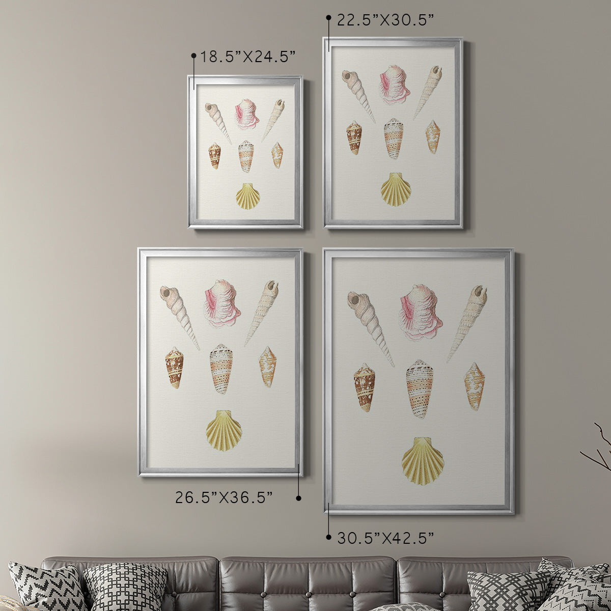 Pastel Knorr Shells I - Modern Framed Canvas Print
