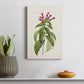 Pretty Pink Botanicals VIII Premium Gallery Wrapped Canvas - Ready to Hang