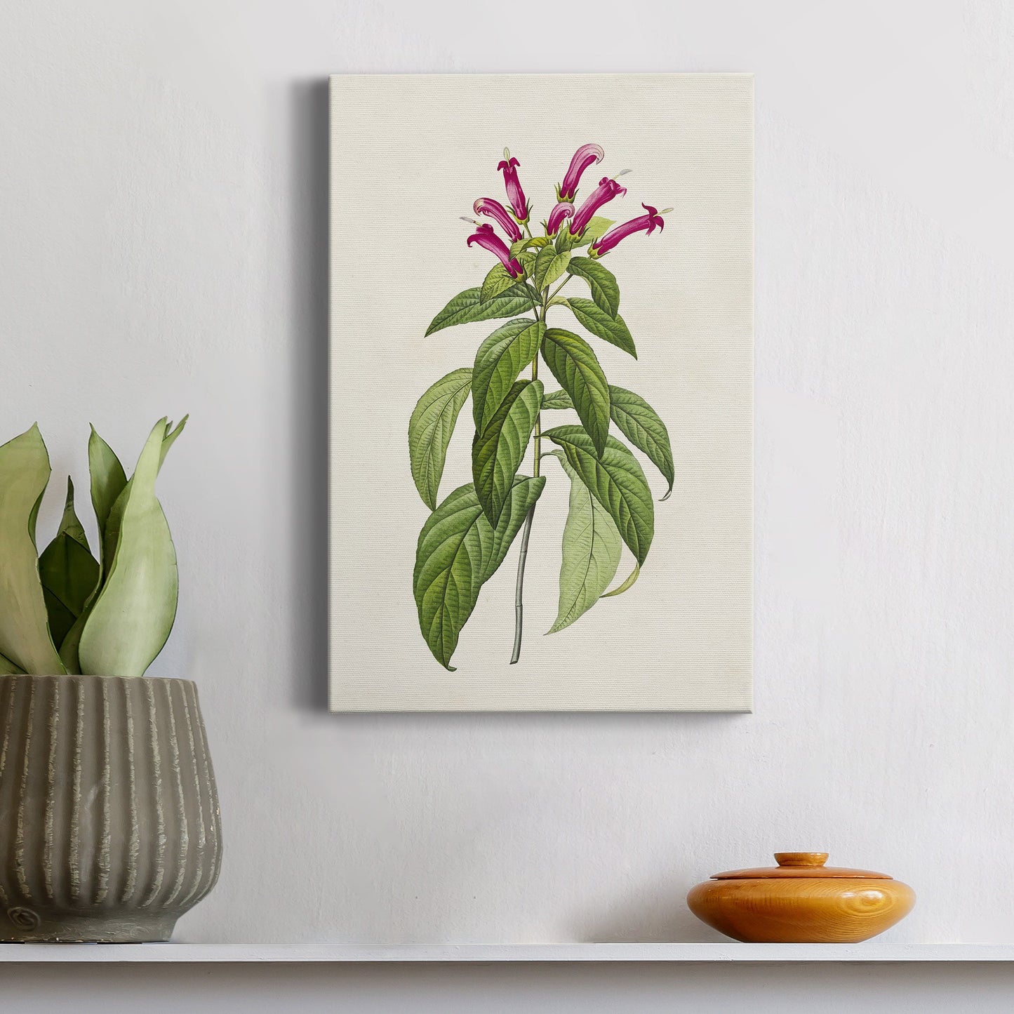 Pretty Pink Botanicals VIII Premium Gallery Wrapped Canvas - Ready to Hang