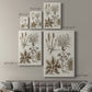 Sepia Botanical Journal VII - Canvas Art Print
