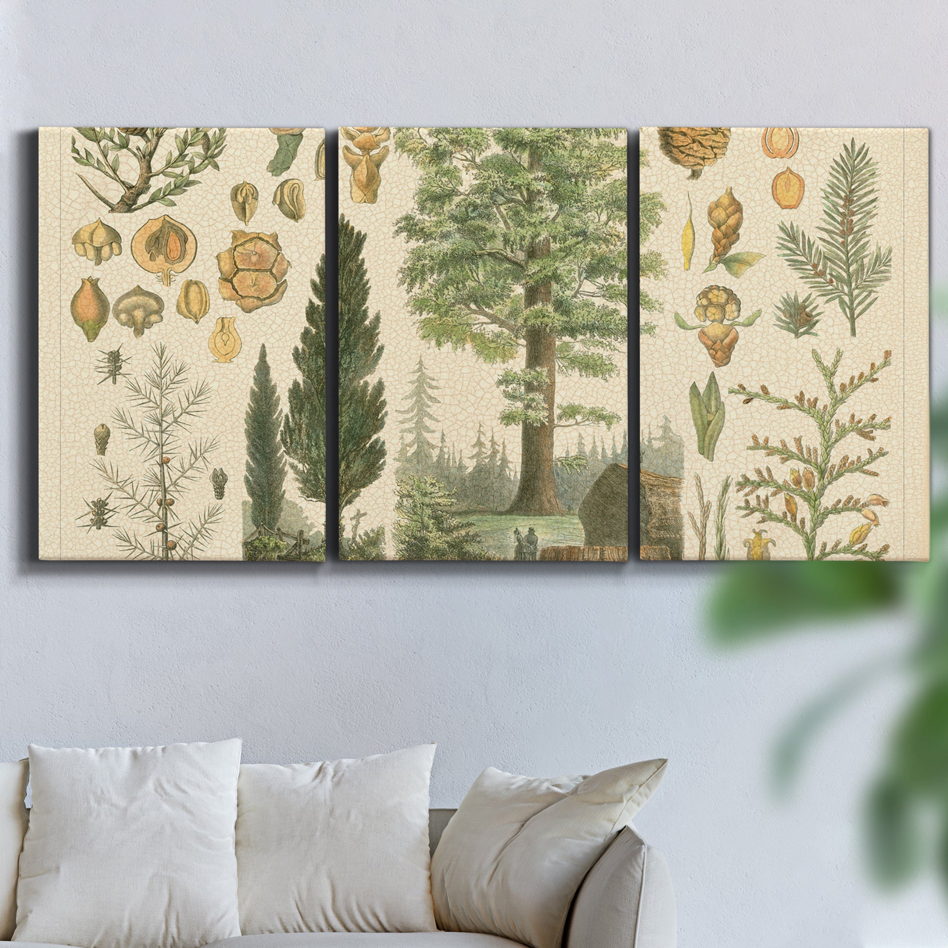 Three-panel canvas wall art featuring vintage floral botanical collage, displayed in a living room above a sofa.