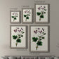 Size comparison chart for a set of two gray barnwood framed canvas prints.