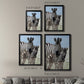 Family of Namibia - Modern Framed Canvas Print