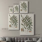 Botanical Society Ferns X Premium Gallery Wrapped Canvas - Ready to Hang