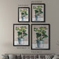 Potted Houseplant II - Modern Framed Canvas Print