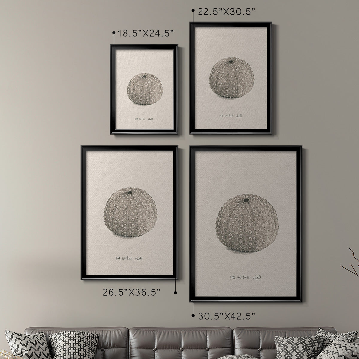 Shore Treasure Study I - Modern Framed Canvas Print