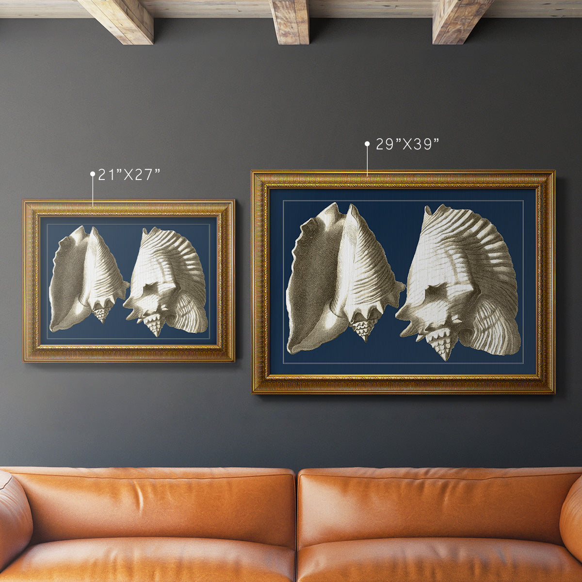 Conch Shells on Navy I Premium Framed Canvas- Ready to Hang