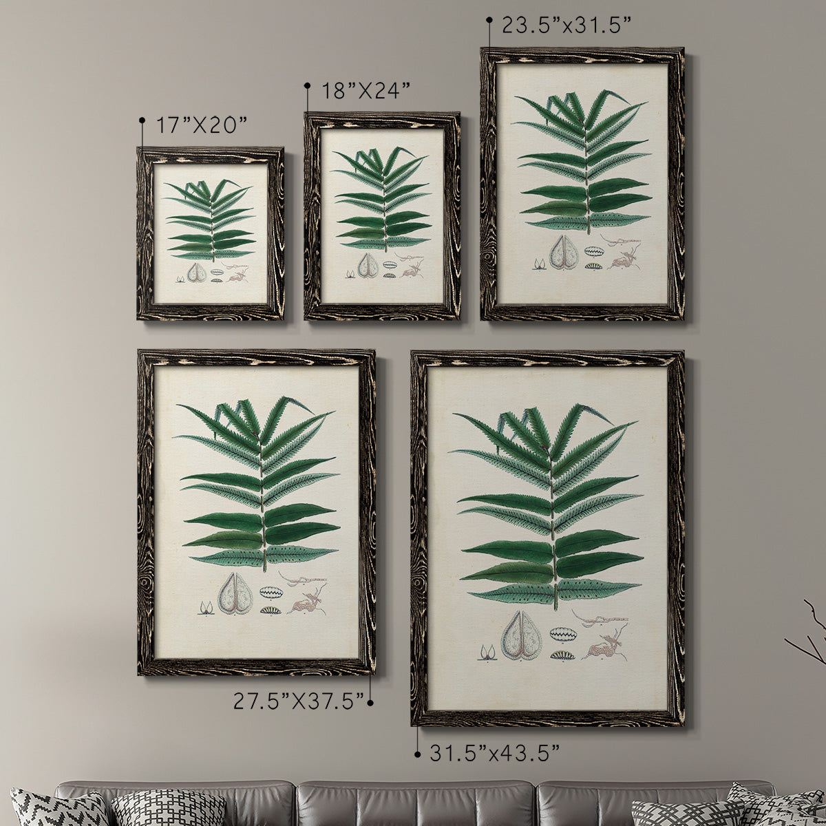 Size comparison chart for a set of two black barnwood framed canvas prints.