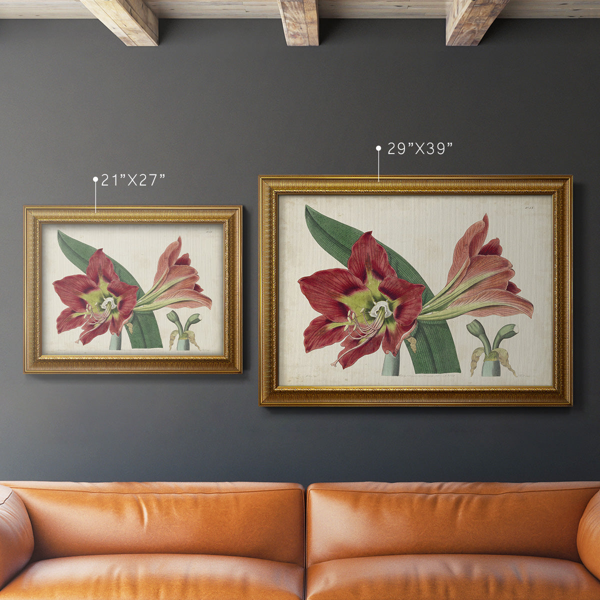 Amaryllis Splendor I Premium Framed Canvas- Ready to Hang