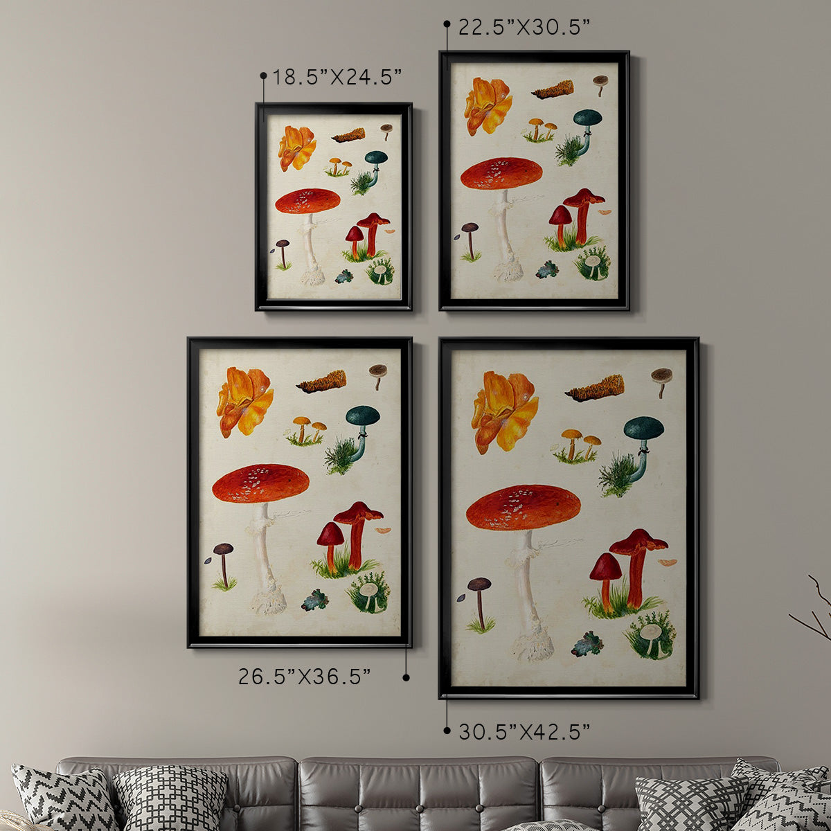 Mushroom Species VIII - Modern Framed Canvas Print
