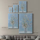 Cherry Blossom Arrangement - Canvas Art Print