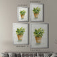 Succulent I - Modern Framed Canvas Print