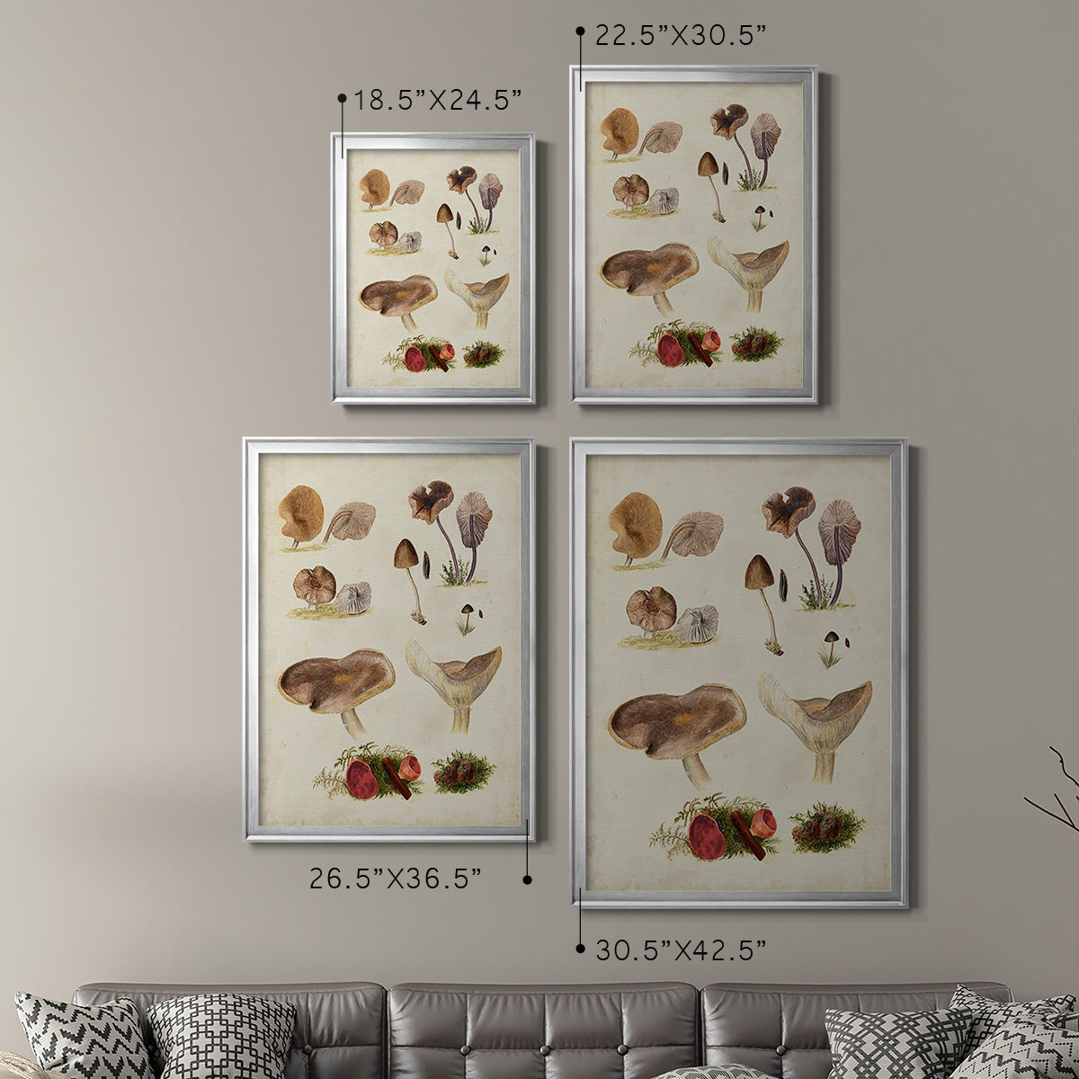 Mushroom Species III - Modern Framed Canvas Print