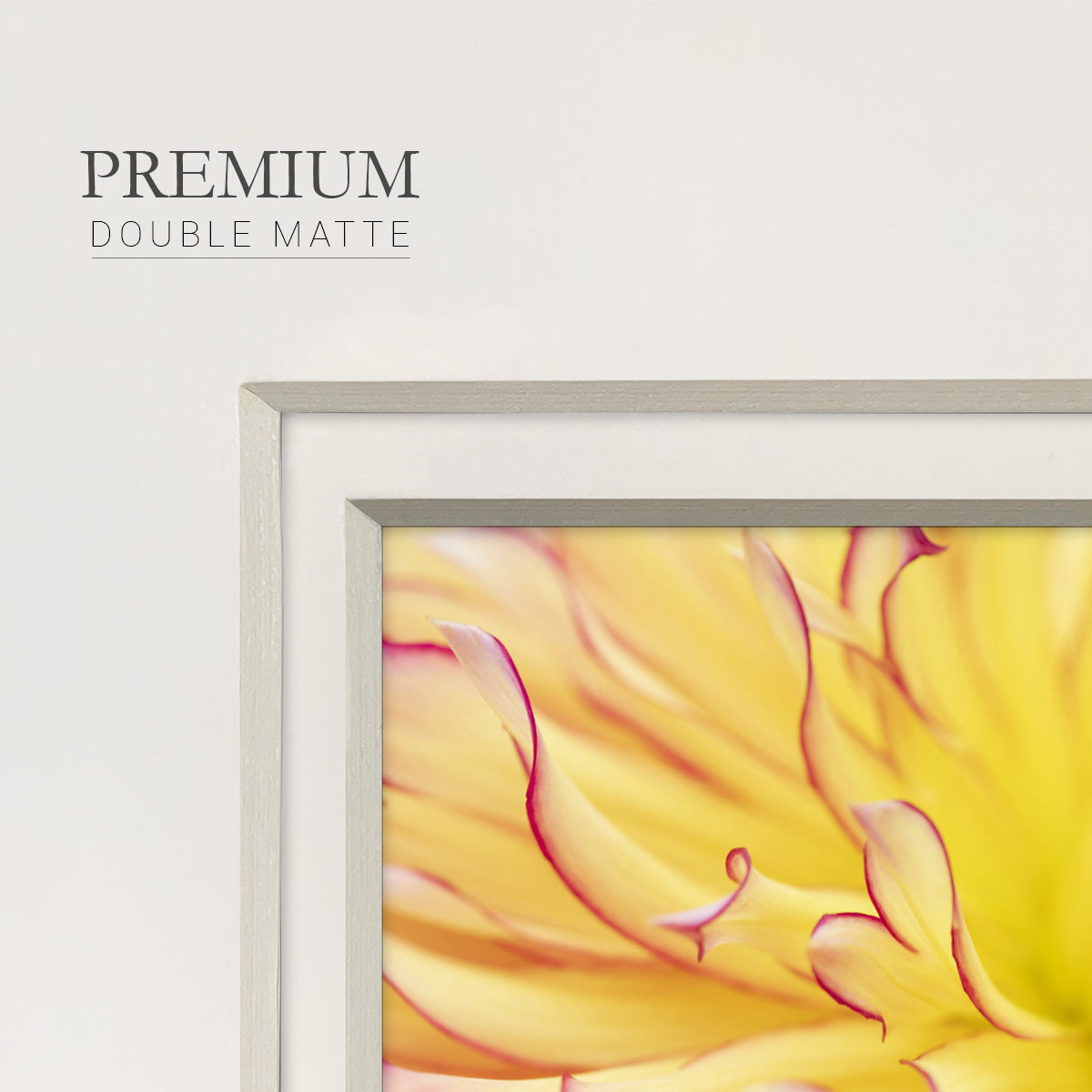 Blooms III- Premium Framed Print Double Matboard