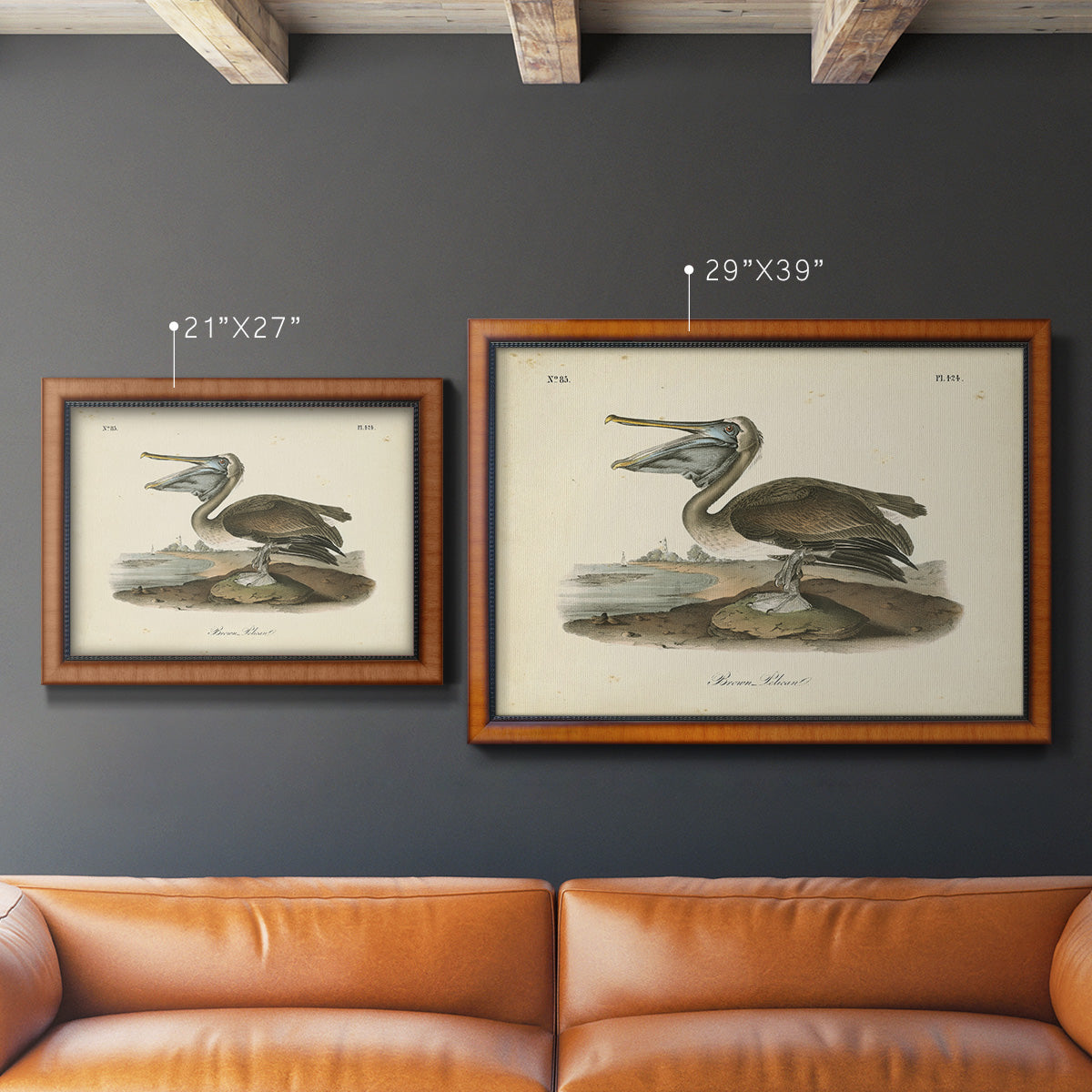 Audubons Brown Pelican - Ornate Framed Canvas Print