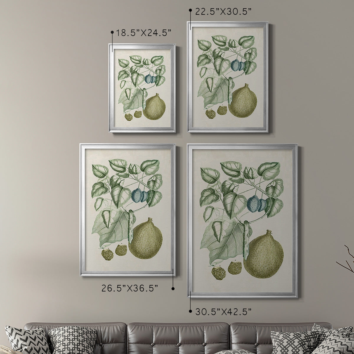 Buchoz Tropicals VIII - Modern Framed Canvas Print