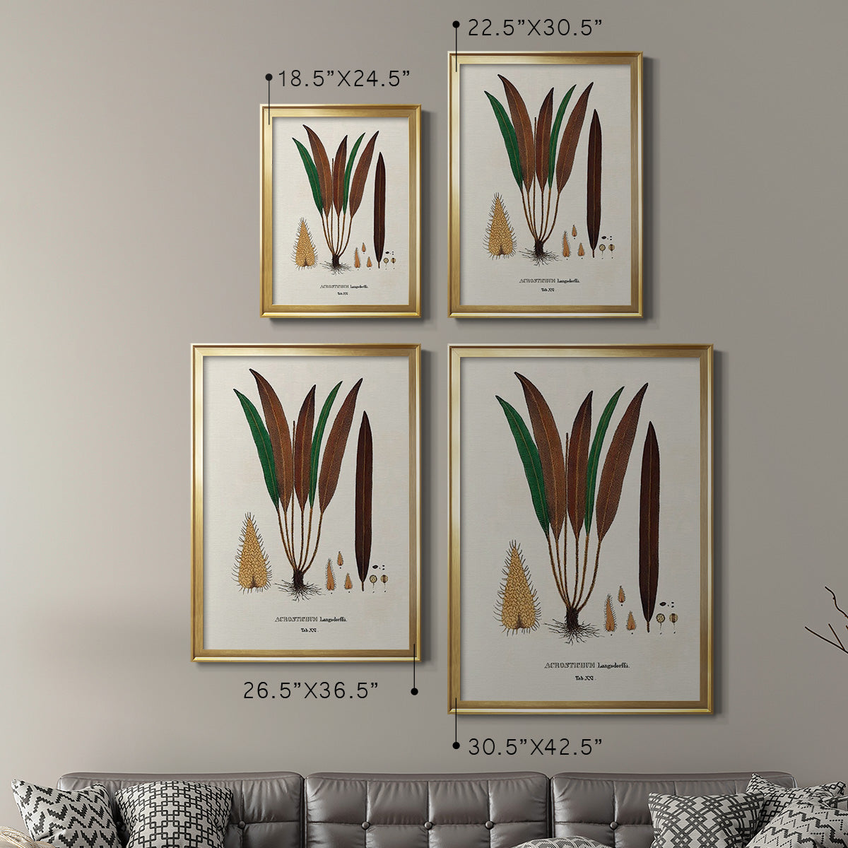 Botanical Society Ferns I - Modern Framed Canvas Print
