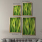 Blades of Grass I - Modern Framed Canvas Print