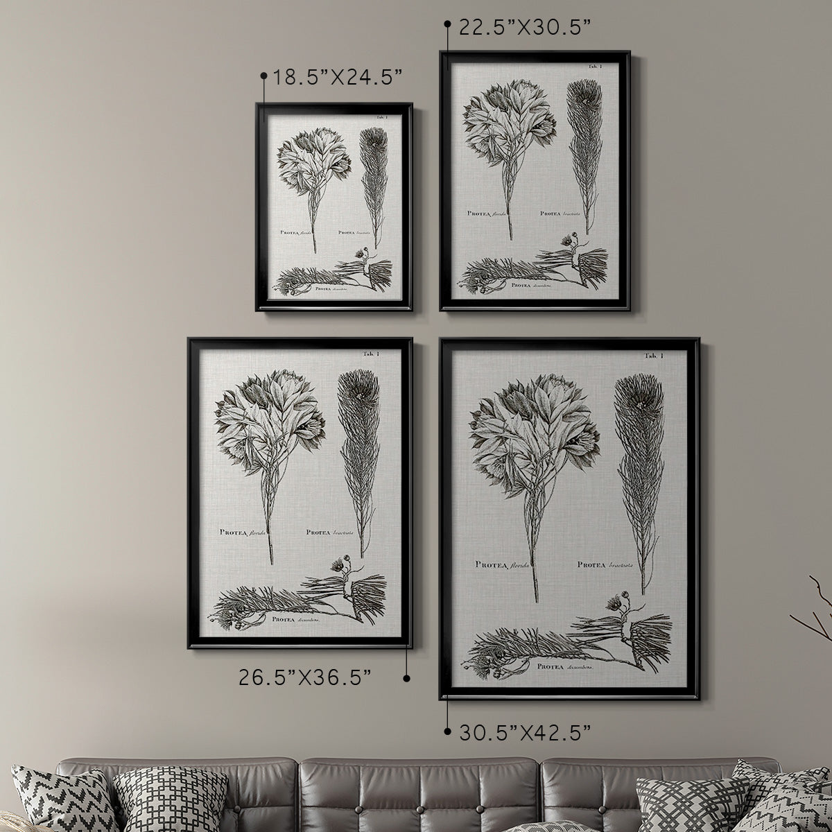 Black & White Protea on Linen I - Modern Framed Canvas Print