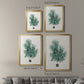 Antique Coastal Coral V - Modern Framed Canvas Print